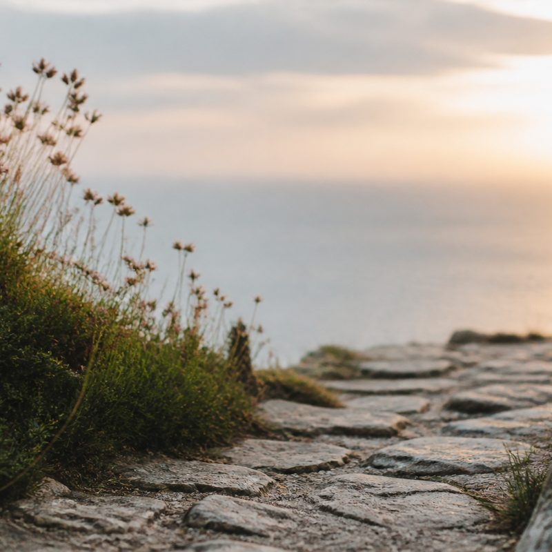 Nervous System Regulation: What It Actually Means and How to Do It