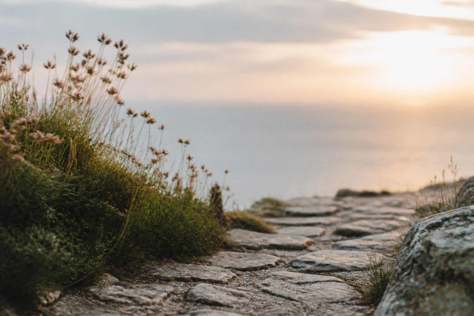 Nervous System Regulation: What It Actually Means and How to Do It