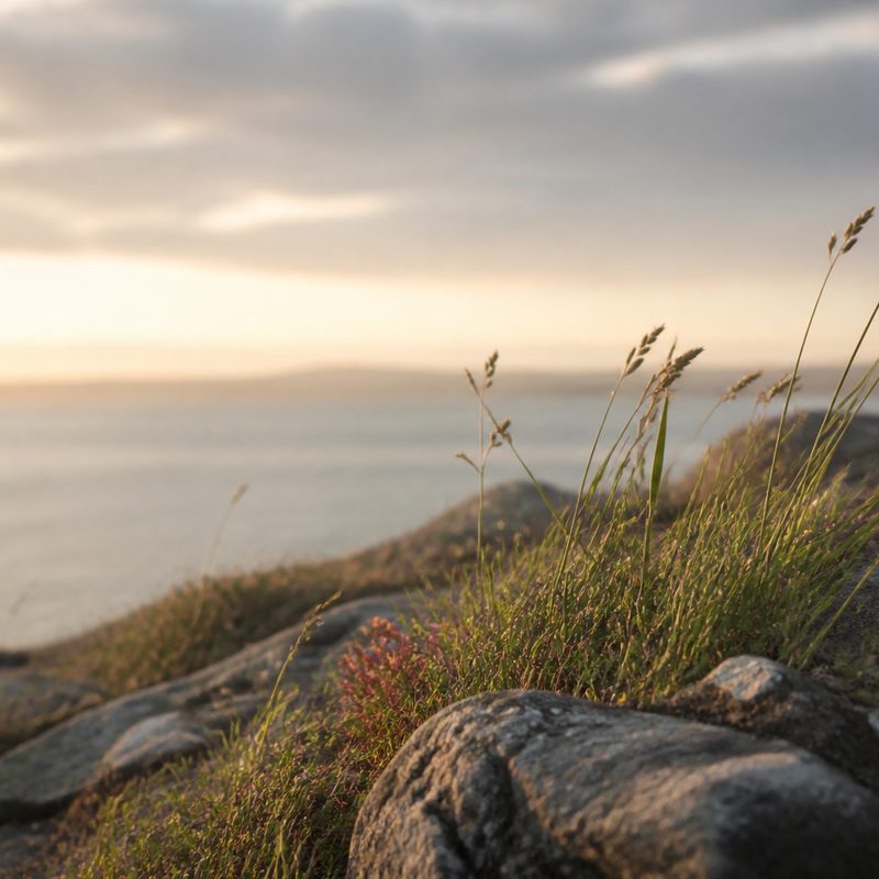 Tapping Meditation: Overcoming Exhaustion