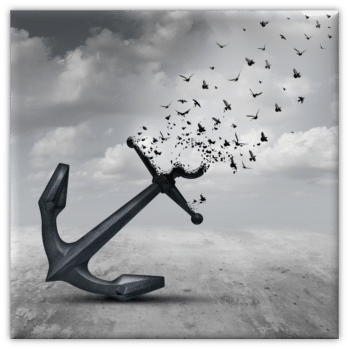 anchor-to-birds