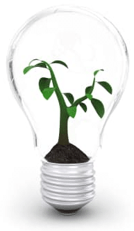 How to nurture an idea