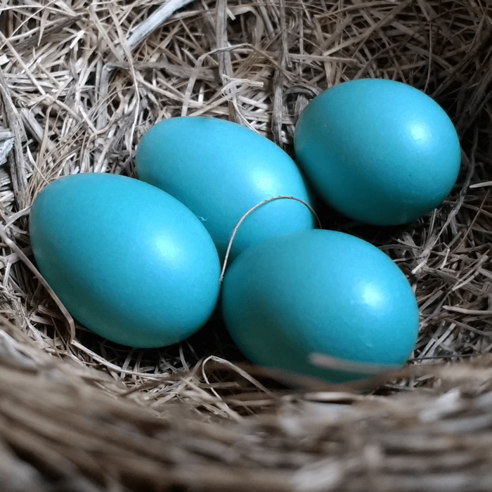 Shhhh… Don't Tell Anyone… (How to Nurture an Idea)