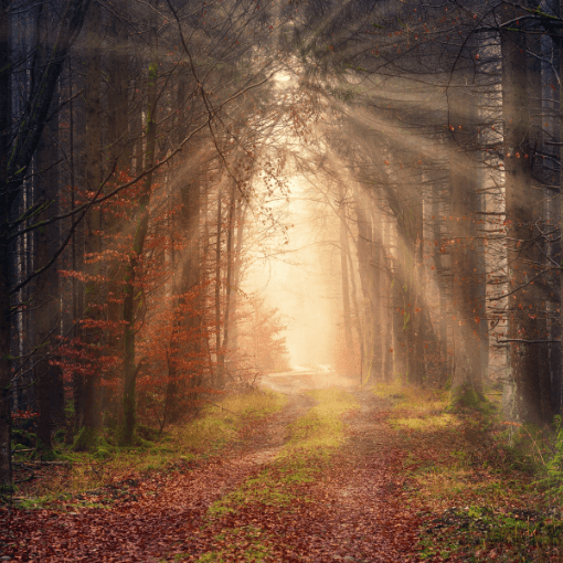Tapping for Depression: Unlocking the Benefits of EFT