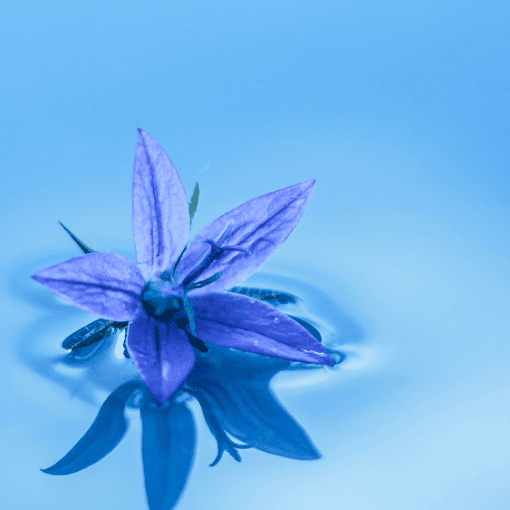 Research Case Study: Tapping to Heal from Traumatic Brain Injury