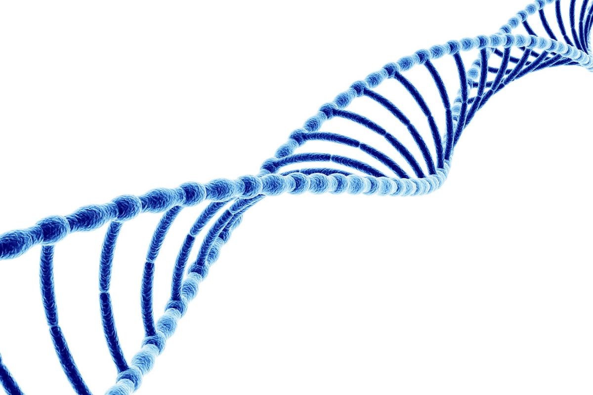 Illustration accompanying section on Tapping and gene expression studies