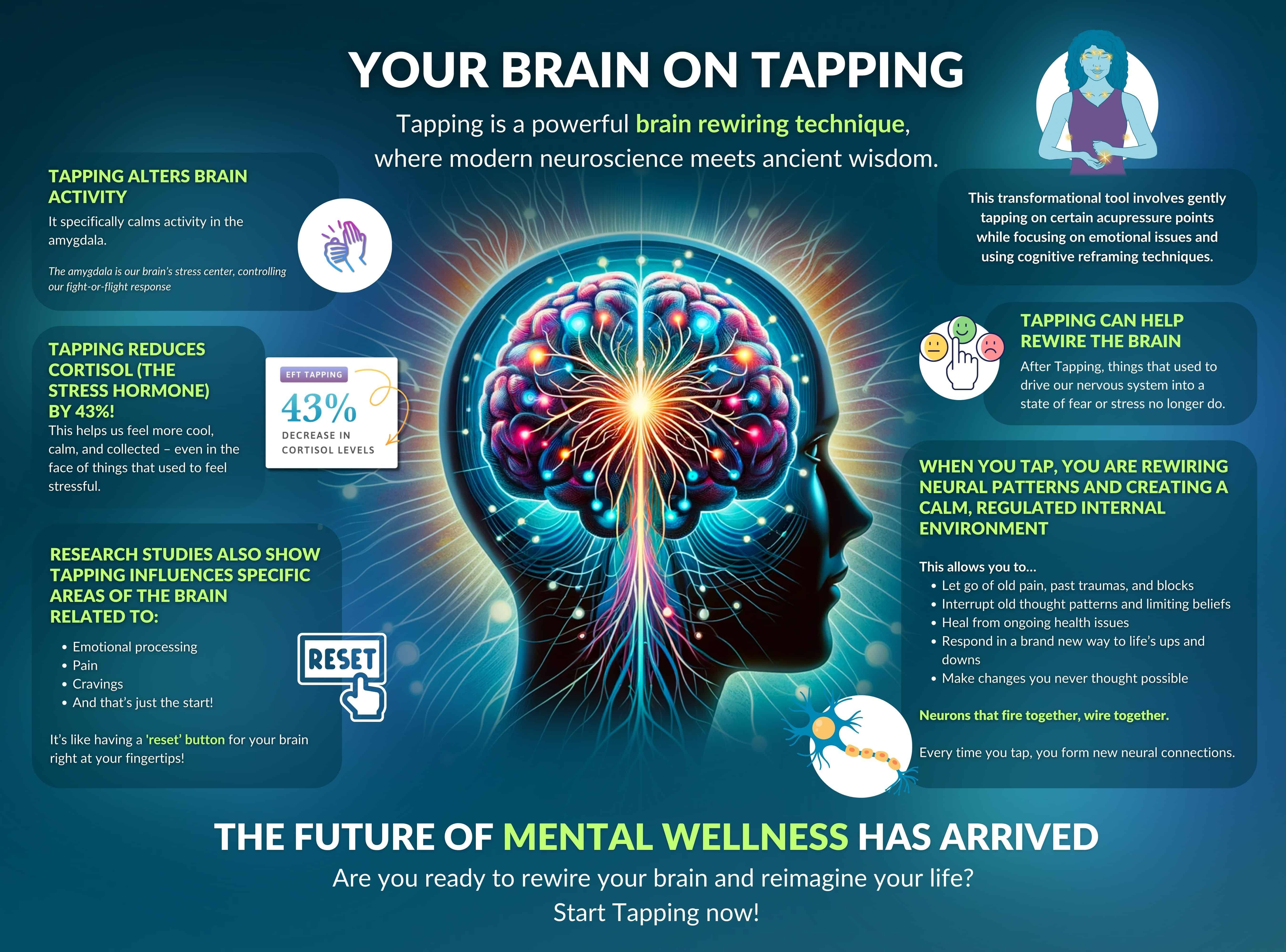 Infographic: how Tapping rewires the brain
