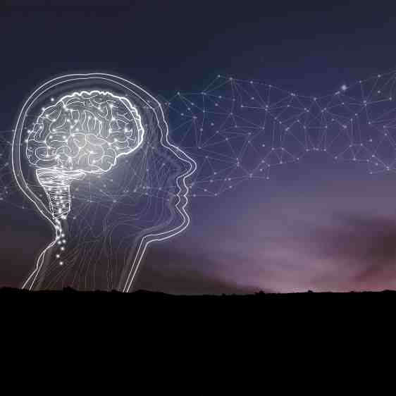 Your Brain on Tapping: How Tapping Rewires the Brain