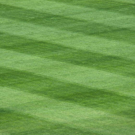 Tapping with the Pros: How to Up Your Game with MLB All-Star Sean Casey