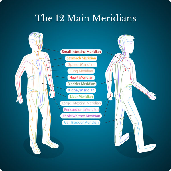 Illustration of the 12 principal meridians used in EFT Tapping