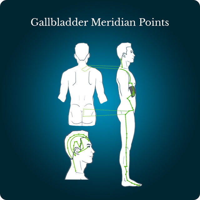 Diagram of the gallbladder meridian points
