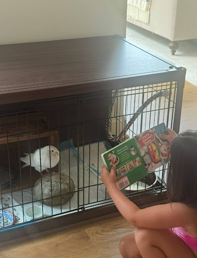 Nick's kids bonding with Sophie the pigeon