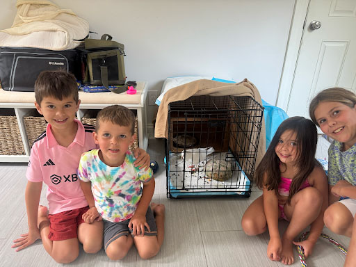 Nick's kids spending time with Sophie the pigeon